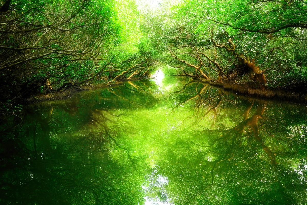 Rivendell
