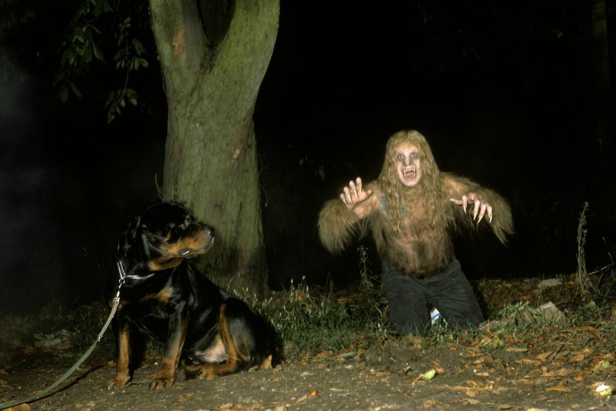 Ozzy Osbourne dressed as werewolf during 'Bark At The Moon' album cover shoot