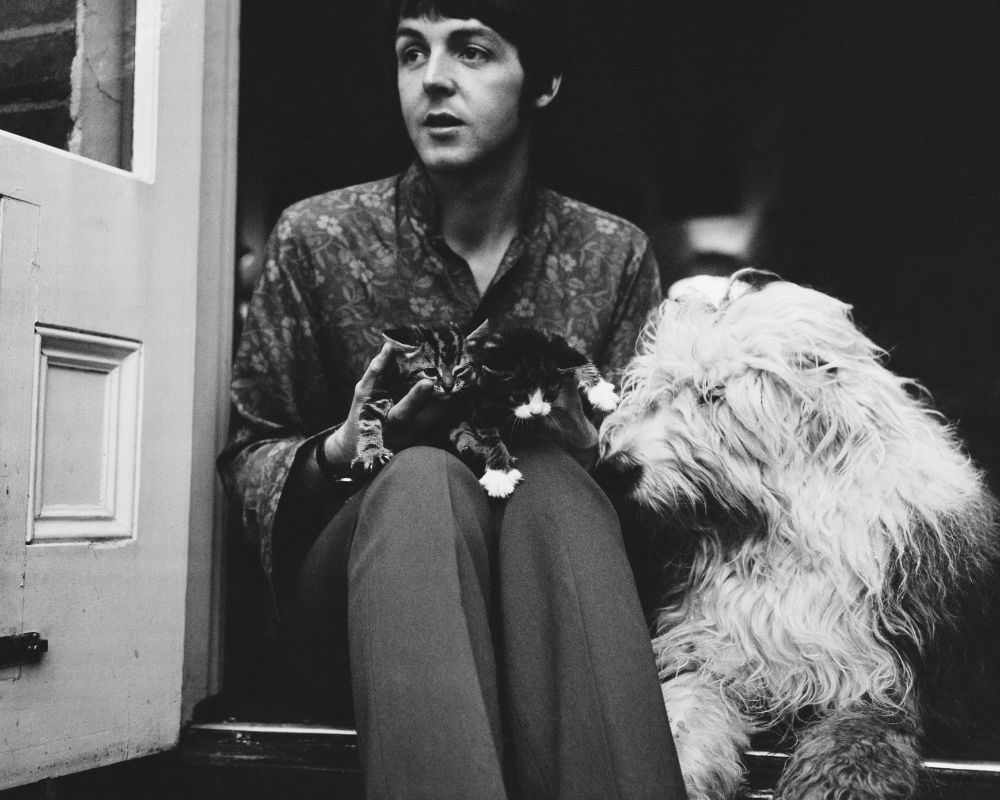 Paul McCartney with his dog, English Sheepdog Martha, and two kittens at his house in St John's Wood, London, UK, 20th June 1967