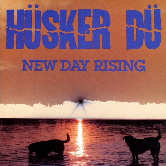 Husker Du - New Day Rising