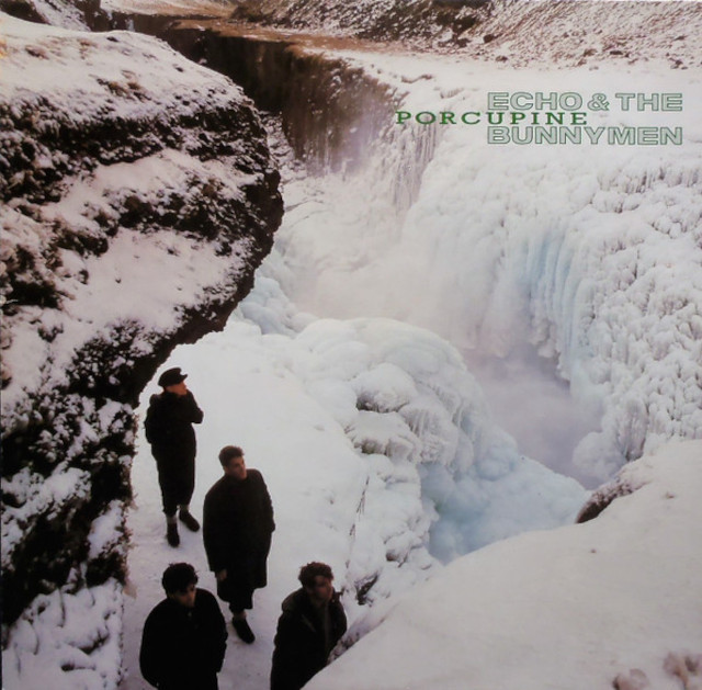 Echo And The Bunnymen Porcupine album cover
