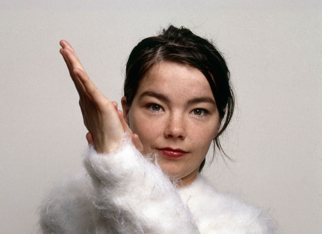 Bjork, Icelandic singer, 1993