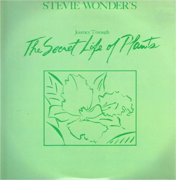 Stevie Wonder Secret Life of Plants