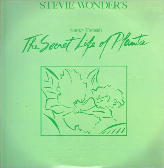 Stevie Wonder Secret Life of Plants
