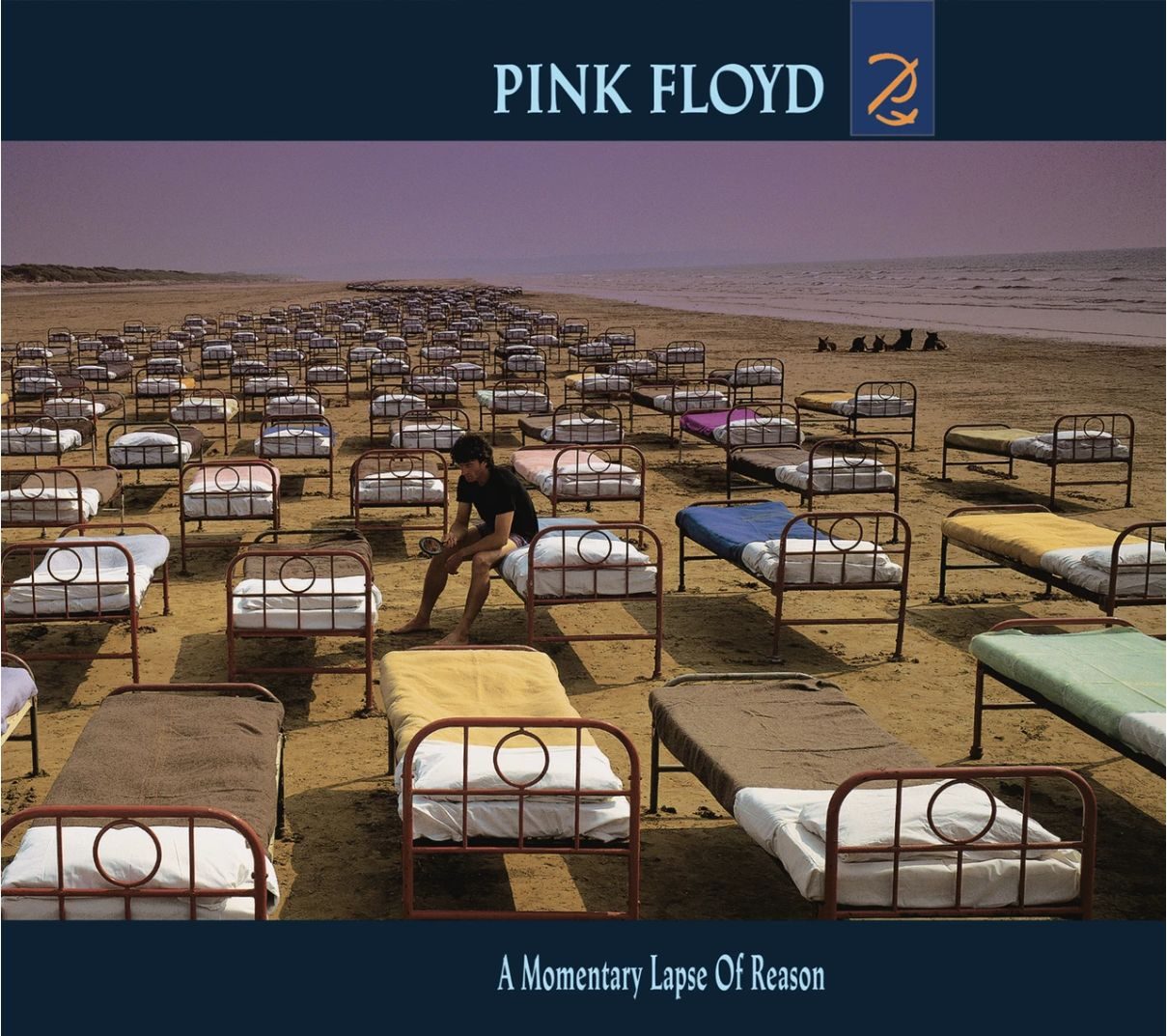 Pink Floyd A Momentary Lapse of Reason
