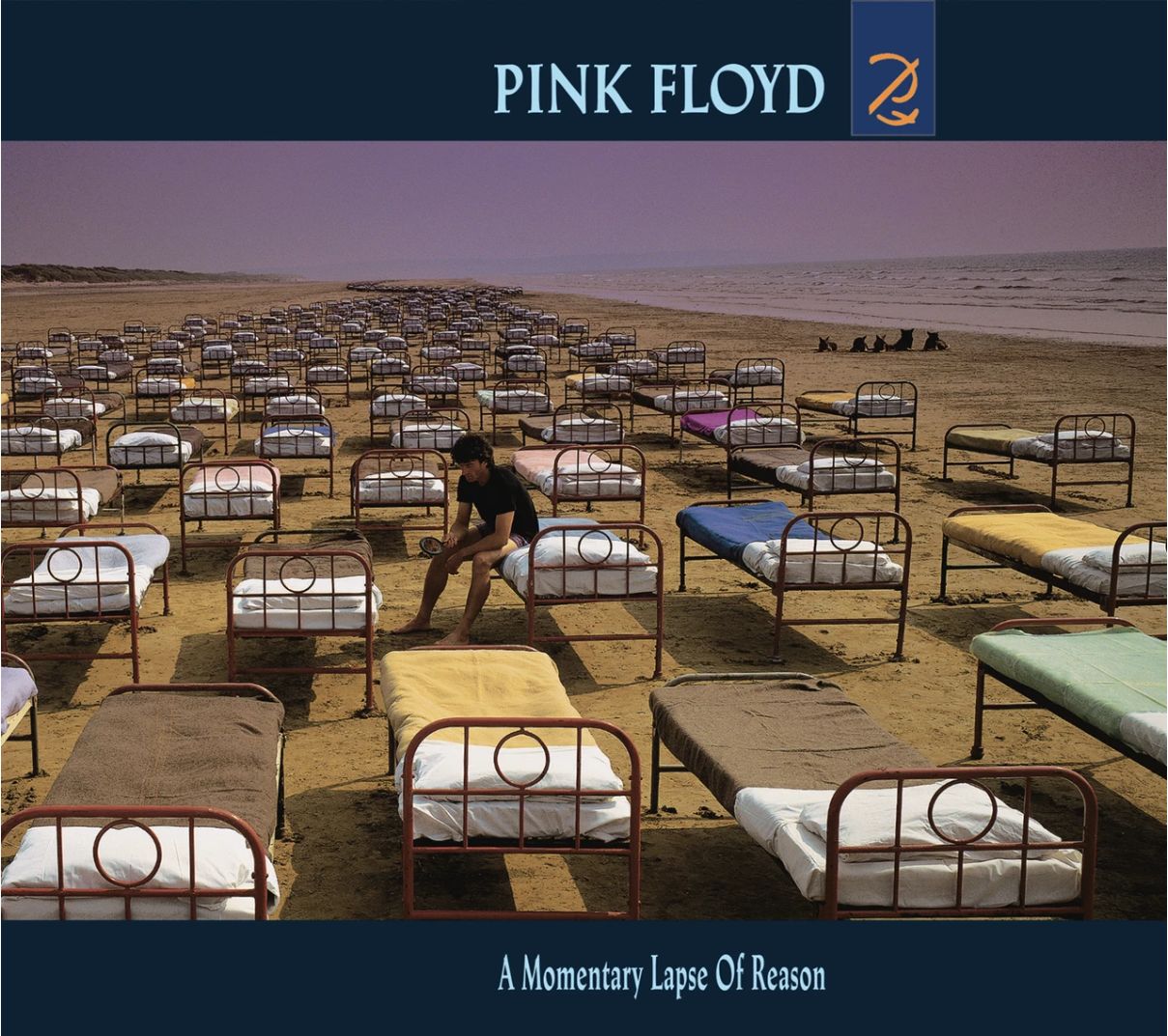 Pink Floyd A Momentary Lapse of Reason