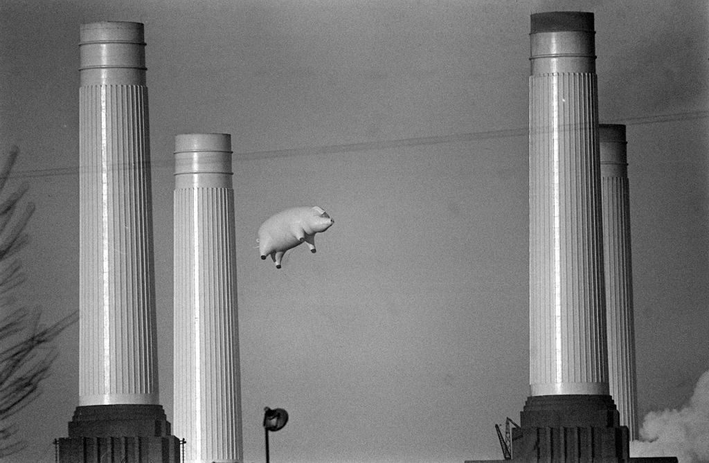 Pink Floyd's inflatable flying pig glides past Battersea Power Station, London, during the filming of a promo video for the Animals album, Decembe