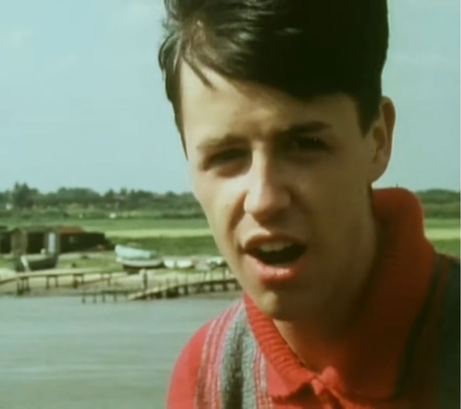 The Lotus Eaters - The First Pictures of You
